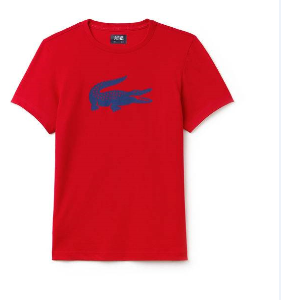 Lacoste T Shirt s-xxl 26w22_114849